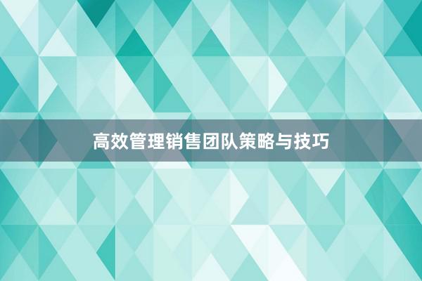 高效管理销售团队策略与技巧